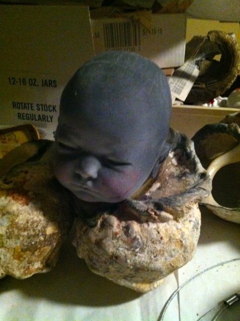 baby shell.jpg